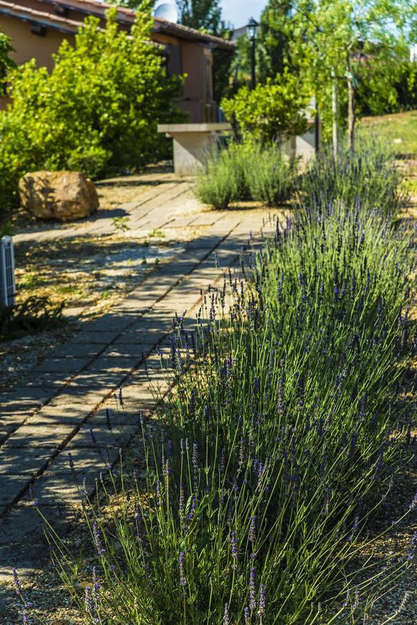 Agriturismo Poggio Di Maremma Pescia Romana Exteriör bild